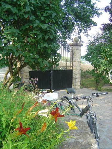 Apartamento Studio Nature