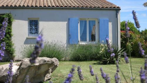 Les Lavandes