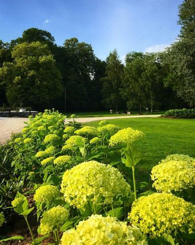 Bed & Breakfast Clos Barth�lemy-ch�teau D'eterpigny