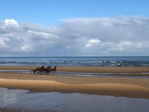 Maison Proche Omaha Beach Vue Imprenable Sur Haras