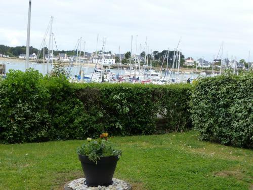 Apartamento Cook Appartement