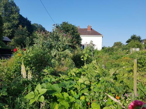 Bed & Breakfast Les Lupins