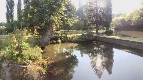 Bed & Breakfast Le Moulin Du Mottay