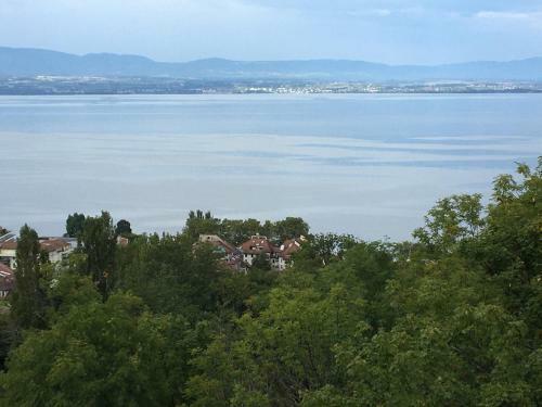 Apartamento Terrasses Et Vue Lac