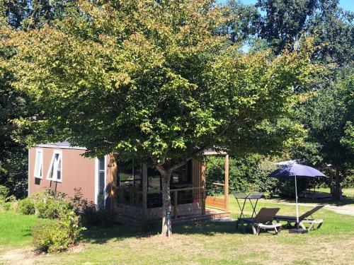 Camping Les Gorges Du Chambon