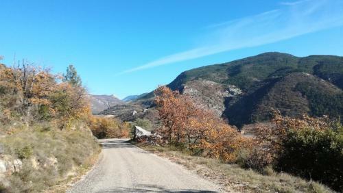Pie Des Ayrolis