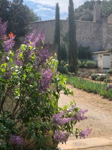 Bed & Breakfast Maison Les Ch�nes