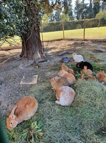 Cocon Familial � La Ferme