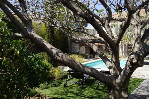 Bed & Breakfast Domaine De La Girafe