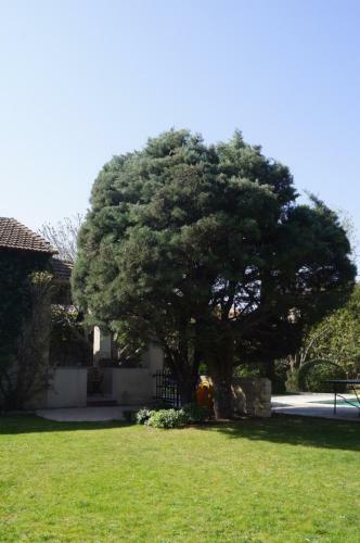 Bed & Breakfast Domaine De La Girafe