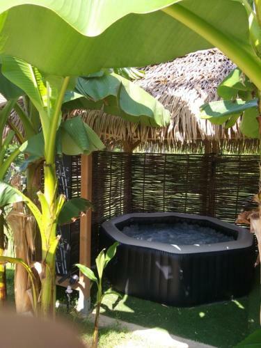 G�te �vasion Idyllique � L'�tage Pr�s Zoo-chateaux