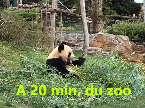 G�te �vasion Idyllique � L'�tage Pr�s Zoo-chateaux