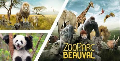 G�te �vasion Idyllique � L'�tage Pr�s Zoo-chateaux