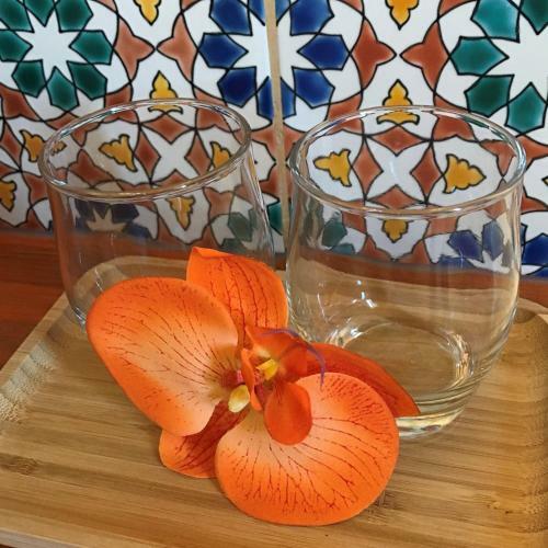 Bed & Breakfast Brin De Cocagne