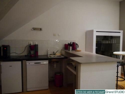 Apartamento Gites De Mer Les Boucanes