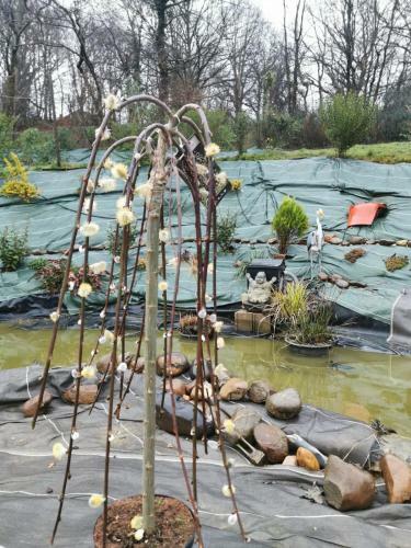Roulotte En B�arn