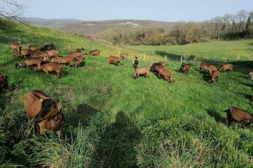 G�te De Charme Dans Une Petite Ferme Bio