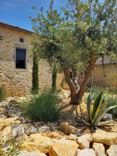 Bed & Breakfast Maison Reces