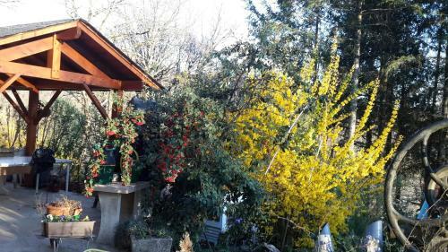Bed & Breakfast Le Casino