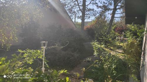 Bed & Breakfast Votre Petit Coin De Paradis