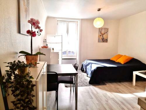 Apartamento Suites Rive Gauche - Cosy Fontainebleau