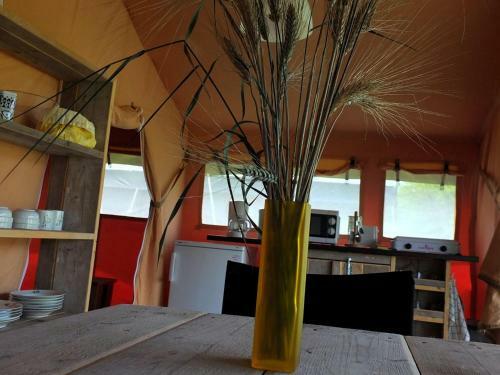 Bed & Breakfast Les �nes De Forcalquier