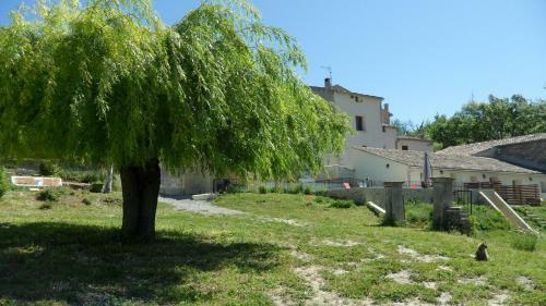 Bed & Breakfast Les �nes De Forcalquier