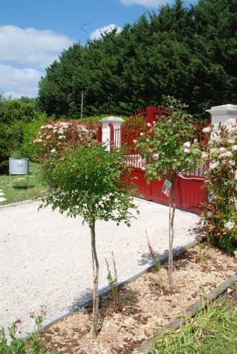 Bed & Breakfast Chambre D'hotes "les Paturelles"