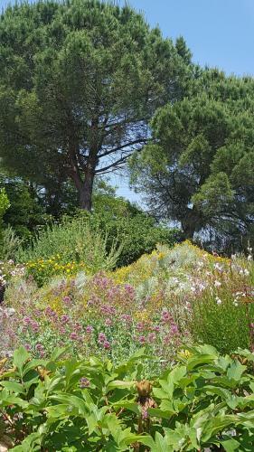 Au Calme Chez L'habitant
