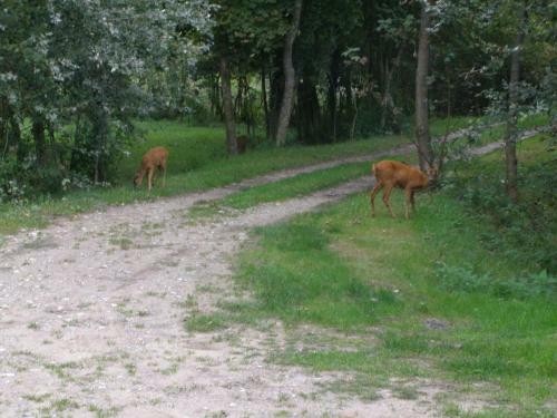 Bed & Breakfast La Caronni�re