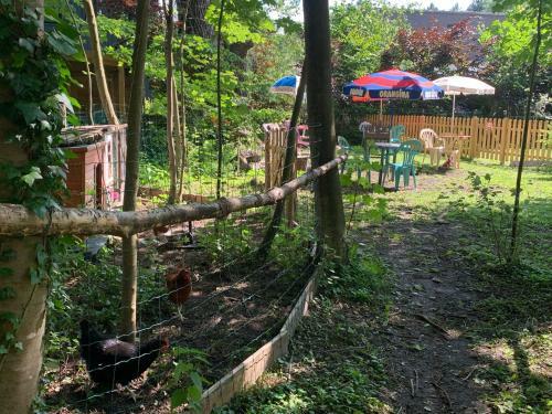 Bed & Breakfast La Caronni�re