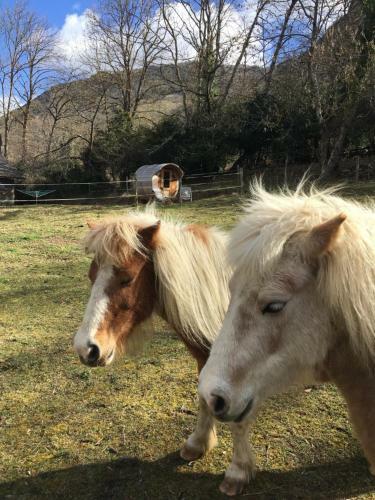 Wigwam, S�jour Ecolo Glamping