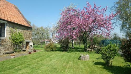 Frenes B&B