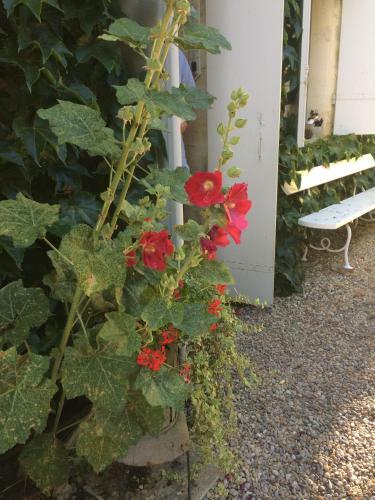Bed & Breakfast Le Clos D'iris