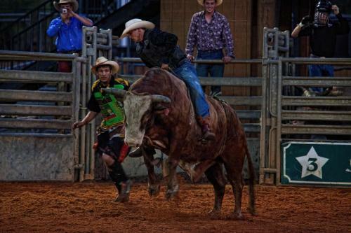 Hotel Westgate River Ranch Resort & Rodeo