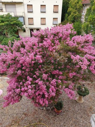 Bed & Breakfast Les Rosiers Fleuris