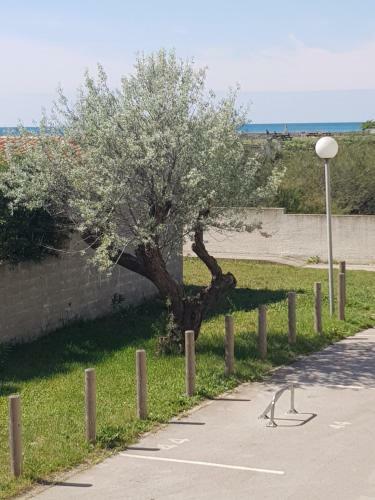 Apartamento La Rose Des Sables