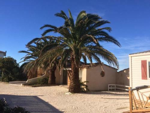 Apartamento Flamants Roses 4 Accesible Pmr