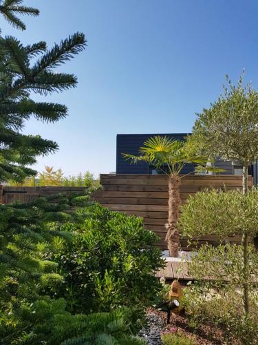 Apartamento Bleu Nuit Studio