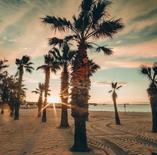 Apartamento Appartement Duplex Et Piscine