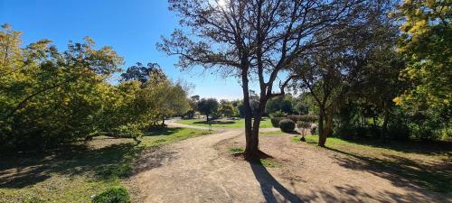 Apartamento Le Calypso