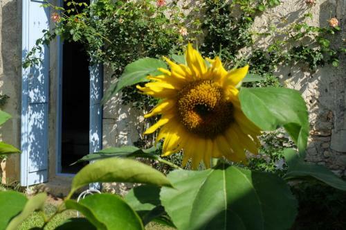 Bed & Breakfast Chambres D?h�tes Dans Maison D'artiste