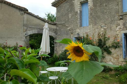 Bed & Breakfast Chambres D?h�tes Dans Maison D'artiste