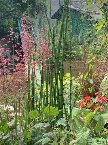 Apartamento Les Coquelicots De Giverny