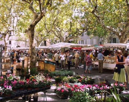 Bed & Breakfast Villa Les Jardins D'holi
