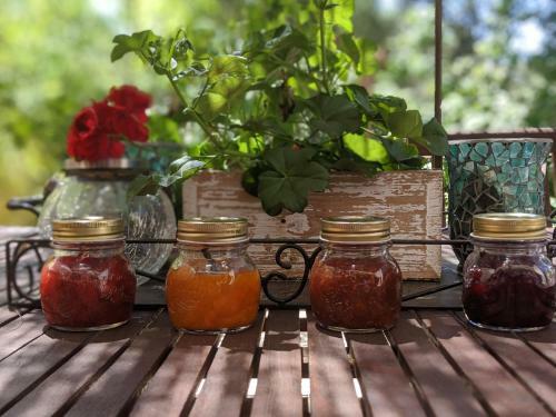 Bed & Breakfast Villa Les Jardins D'holi