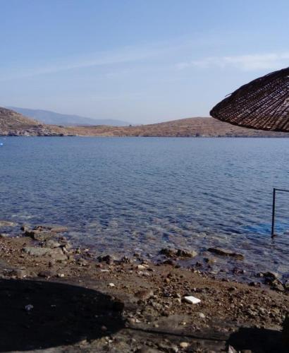 Mobil Home Royal ****