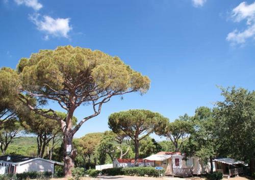 Parc Montana Gassin Saint Tropez