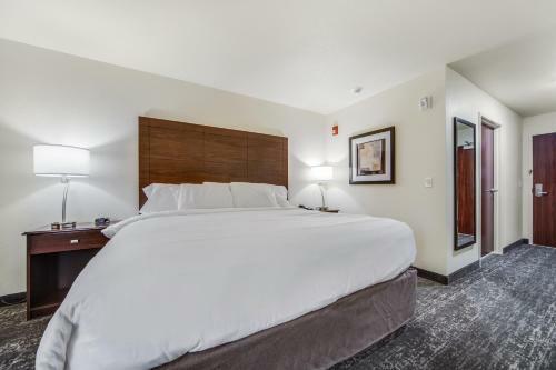Cobblestone Hotel & Suites - Cozad