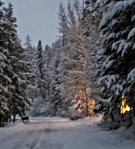 Apartamento Big Mountain Cedar Cabin
